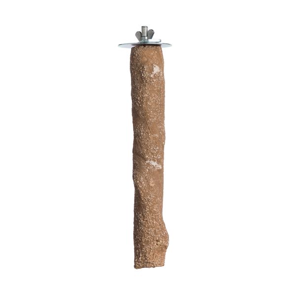 Prevue Pet Products Pacific Perch Beach Branch Medium 1011