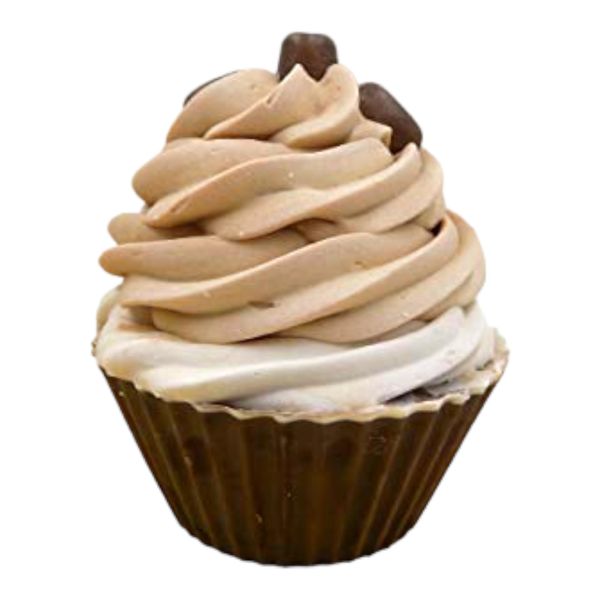 Coffee Soap - Cupcake Soap - Coffee Beans