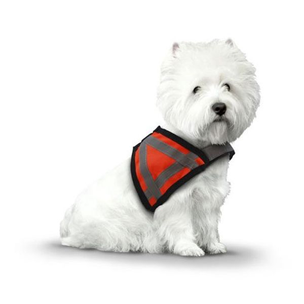 AKC Pet Safety Vest with Reflective Stripes, Small, Orange