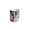 Johnny Was Malibu Rose Candle - HF1122