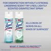 Lysol Sanitizing and Antibacterial Spray for Disinfecting & Deodorizing, Spring Waterfall, 12.5 Fl Oz