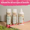 novex COCONUT OIL LERVE-IN CONDITIONER