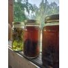 Walnut Hull Salve