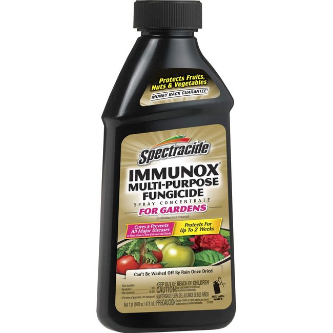 Spectracide 100507462 Immunox Multi Purpose Fungicide Spray Concentrate, 16 fl oz, Yellow