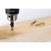 wolfcraft Screw Starter With Countersink, Hexagon Shank I 2545000