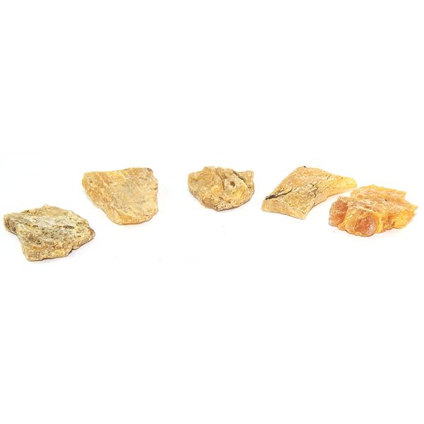 Copal Natural Raw Specimen Set COPAL18