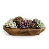 Red Barn Dough Bowl Candles (3-Wick) (3-Wick, Candy Cane)