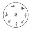 MoYou Image Plate Number 60