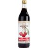 Lemon Syrup (Fructal) 1L