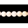 White-Lip Sea Shells Round Shell Beads Size:6x6mm