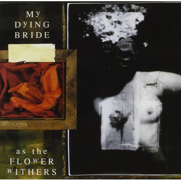 As The Flower Withers