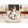 Harry Barker Dog Plush Toy Collection - Ostrich
