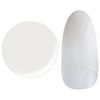 25gel Color Gel 005M/Gradation White 2.5g
