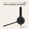 Jabra Evolve 20 MS Mono USB-C