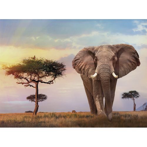 Clementoni Collection 35096, African Sunset Puzzle for Children and Adults - 500 Pieces, Ages 10 Years Plus