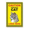 Grey Tabby Pampurr'd Cat Lives Here - Large Security Sign 9" x 6"