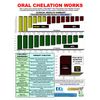 MULTI- Broad Spectrum MultiVitamin - Mineral  Cleanse Detox Support Formula
