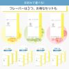 ORBIS Defencera Peach Flavor White 1 Piece