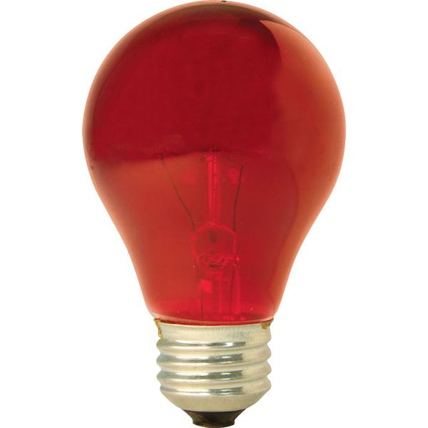 GE Party Light 16555 25-Watt Red A19 Light Bulb with Medium Base, 1-Pack