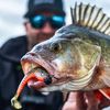 Monkey Lures King Lui - 7.5 cm, 10 cm, 12.5 cm, 14 cm - Big L Bait, Soft Bait, Zander Bait, Artificial Bait Fishing, Rubber Bait (Electric Monkey - Strong UV Active, 7.5 cm)