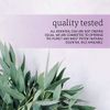 NOW Eucalyptus Essential Oil, 2 Fl Oz (1 Count)