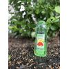 CUCUMBER MELON Extra Moisturizing And Deep Cleaning Body Wash (2 Count)