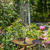 Solar Floating Miniature Landscape for Home Garden