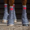equilibrium Therapy Magnetic Chaps - X Large