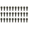1968 1969 Camaro & Firebird Upper & Lower Door Hinge Bolt Kit Correct 30 Pcs
