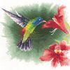 Heritage Crafts Hummingbird in Flight Cross Stitch Chart Pattern - John Clayton