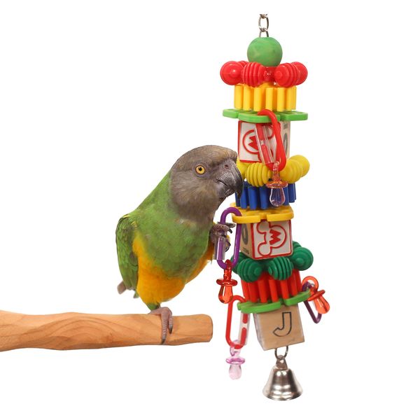 ABC Mash Toy for Small to Medium Parrots