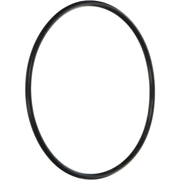 Zodiac R0374500 Energy Filter "O" Ring Replacement Kit for Zodiac Jandy