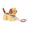Fisher-Price H9447 Lil' Snoopy Toy