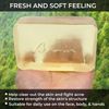 ARWIN Phytoncid Transparent Soap - 180g / 6.3 oz