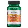Swanson B-Vitamin Niacin Supplement, 100 mg,  250 Tablets