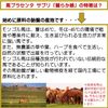 Placenta Supplement Horse Reiraka Musume 180 Grains x 6 Pieces Highly Concentrated Horse Placenta