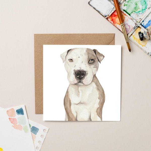 StreetVet Ty card (blank)
