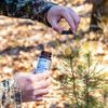 Code Blue Whitetail Doe Estrous Gel 2-Ounce