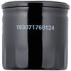 Magneti Marelli 71760124 Oil Filter