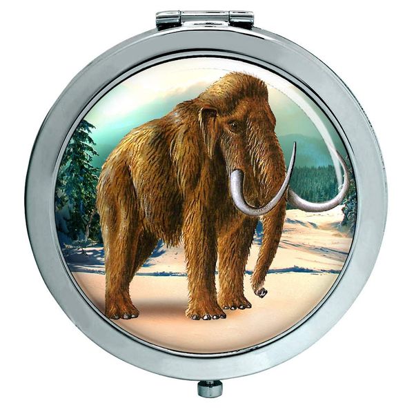 Mammoth Compact Mirror
