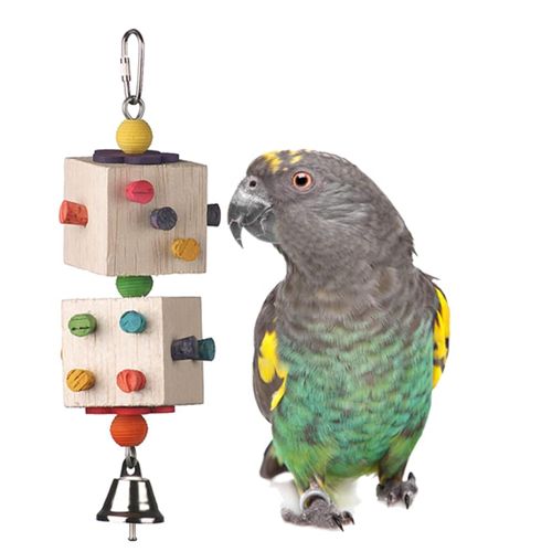 Super Bird Creations SB1103 Parrot-Dice Bird Toy - Ideal for Parrot Medium Conures Cockatiel - Perfect for Chewing & Boredom Relief - Enriching Parrot-Dice Toy for Medium Bird Size, 9" x 2.5" x 2.5"