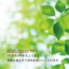 AirPORULE makeup UV base 40g SPF50+ PA++++ makeup base BB cream vitamin C derivative human ceramide
