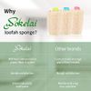 Natural Exfoliating Loofah Sponge - eco Friendly Organic Loofah Luffa Sponges, Body Scrubber for Shower Scrubbing, Egyptian Real Loofa, Bath Puff for Bathing, Spa, Massaging Daily Skin Cleansing Care