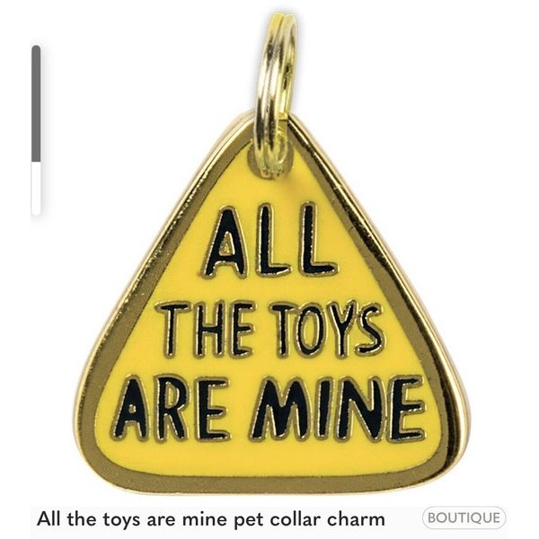 All The Toys Are Mine Pet Charm