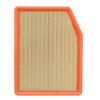 Lot 2*Air Filter-VIN: L, Eng Code: L87 ACDelco GM Original Equipment A3244C