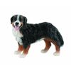 65436 – Bully Land – Bernese Mountain Dog Bianca
