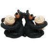 Willie Bear Salt & Pepper Shaker Set (Includes 2 Shakers), 7.5-inch