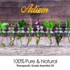 Artizen 30ml Oils - Mandarin Essential Oil - 1 Fluid Ounce
