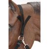 Tough 1 Freedom Muzzle with Headstall