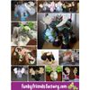 Funky Friends Factory Mickey Moose Sewing Pattern